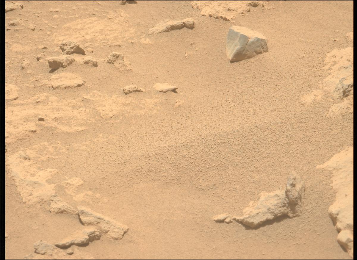 This image was taken by MCZ_LEFT onboard NASA's Mars rover Perseverance on Sol 737