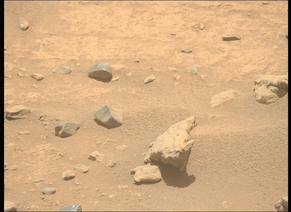 This image was taken by MCZ_LEFT onboard NASA's Mars rover Perseverance on Sol 737