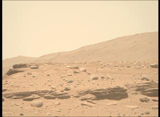 View image taken on Mars, Mars Perseverance Sol 737: Right Mastcam-Z Camera
