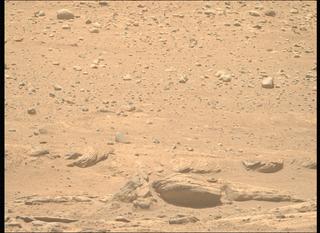 View image taken on Mars, Mars Perseverance Sol 737: Right Mastcam-Z Camera