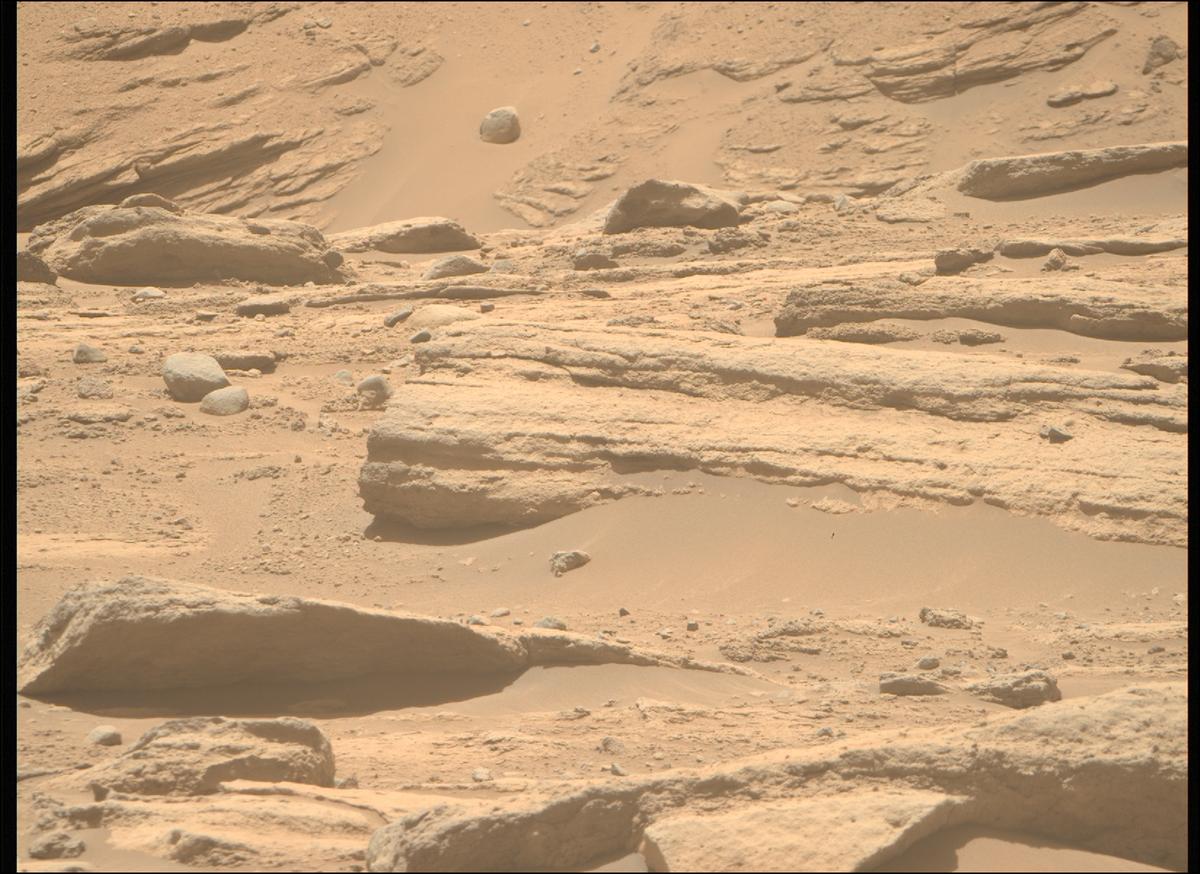 This image was taken by MCZ_RIGHT onboard NASA's Mars rover Perseverance on Sol 737