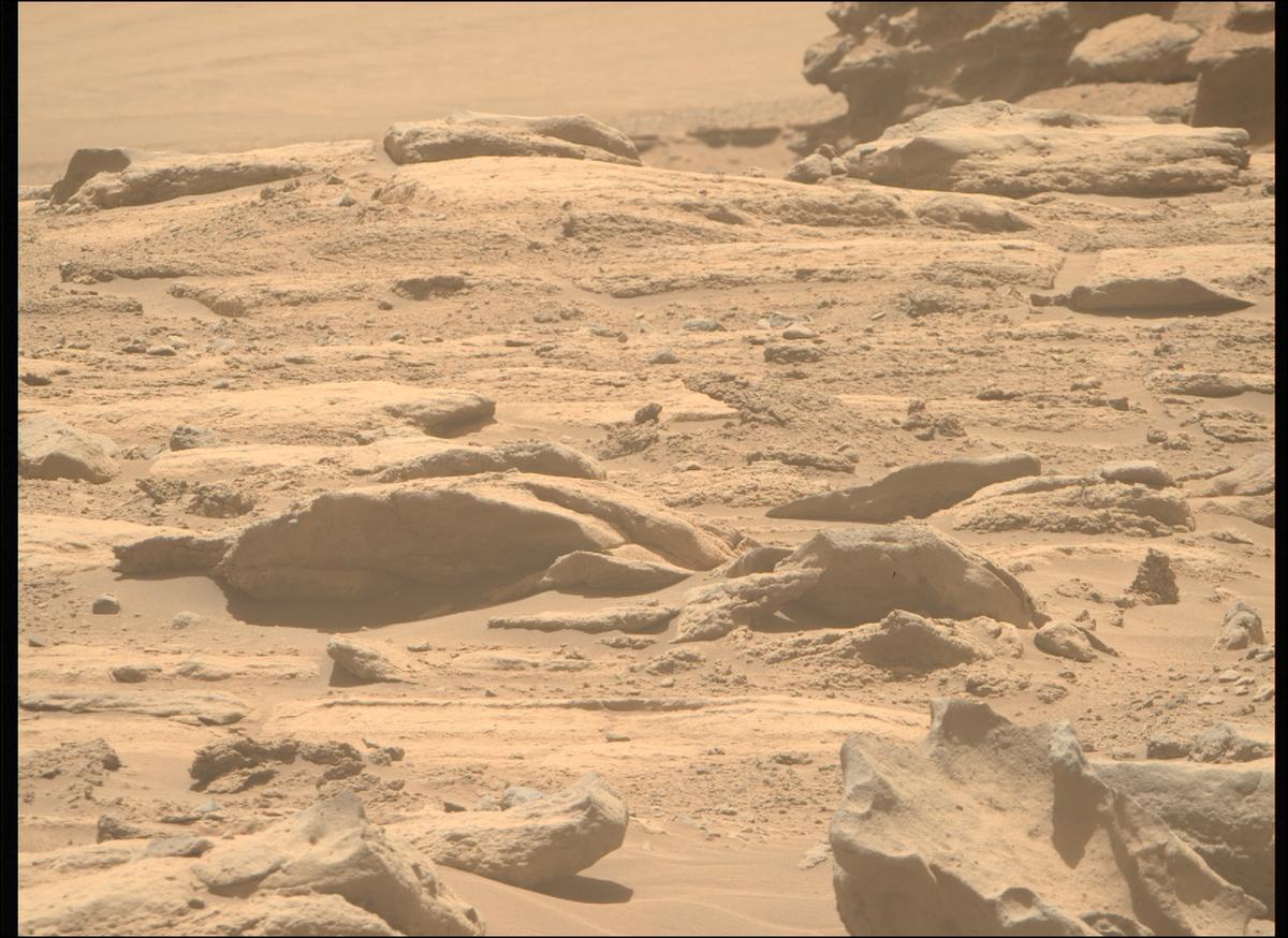 This image was taken by MCZ_RIGHT onboard NASA's Mars rover Perseverance on Sol 737