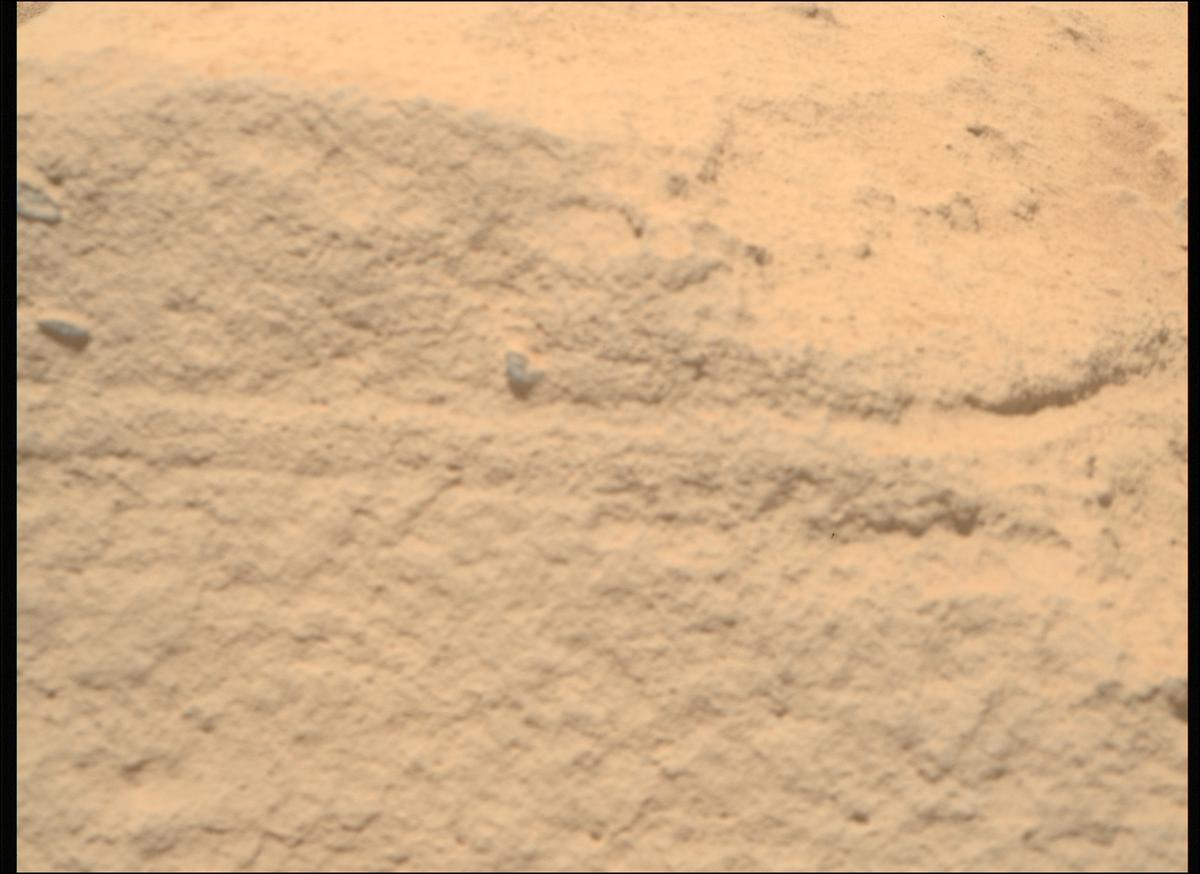 This image was taken by MCZ_RIGHT onboard NASA's Mars rover Perseverance on Sol 737