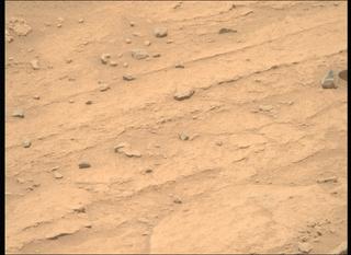 View image taken on Mars, Mars Perseverance Sol 737: Right Mastcam-Z Camera