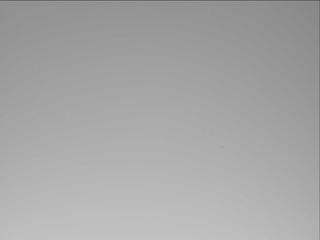 View image taken on Mars, Mars Perseverance Sol 737: Right Mastcam-Z Camera