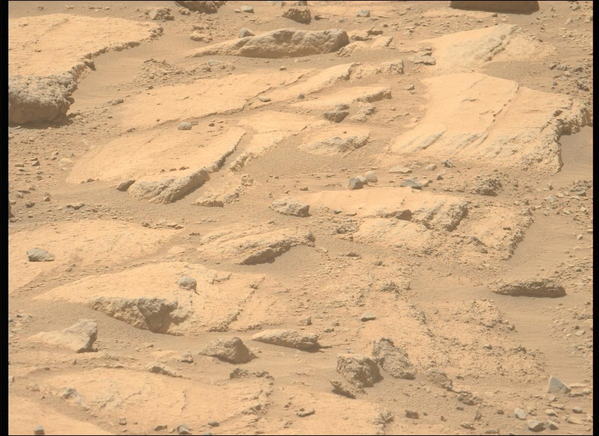 This image was taken by MCZ_LEFT onboard NASA's Mars rover Perseverance on Sol 738