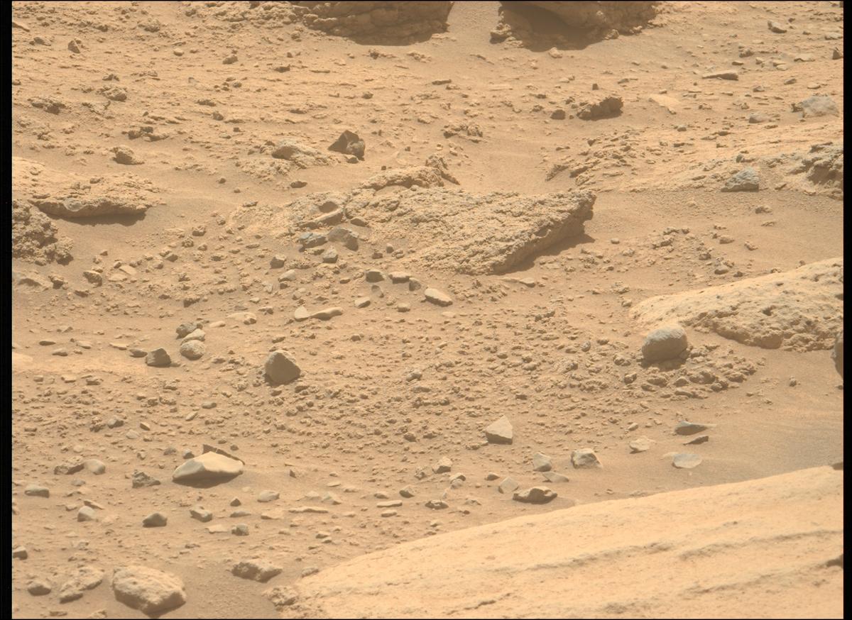 This image was taken by MCZ_LEFT onboard NASA's Mars rover Perseverance on Sol 738