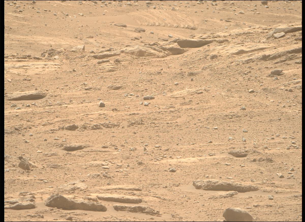 This image was taken by MCZ_RIGHT onboard NASA's Mars rover Perseverance on Sol 738