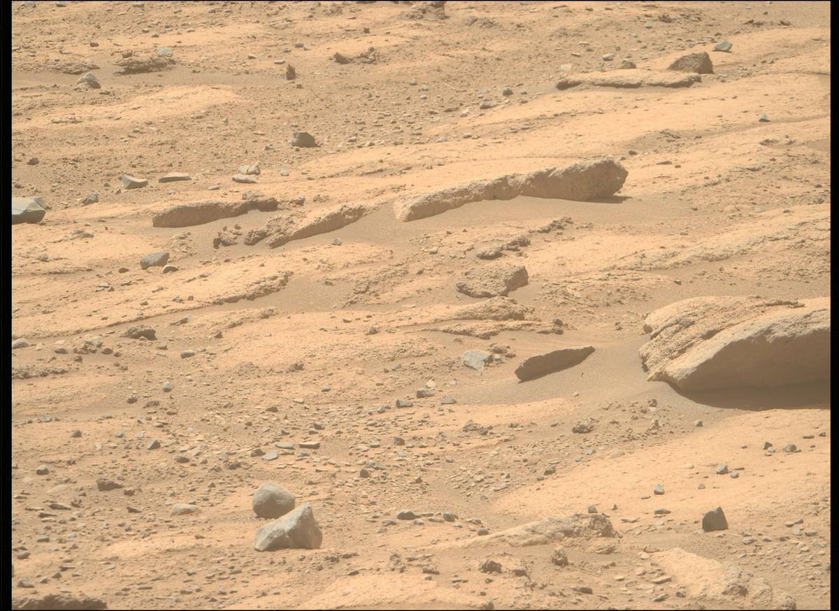 This image was taken by MCZ_RIGHT onboard NASA's Mars rover Perseverance on Sol 738