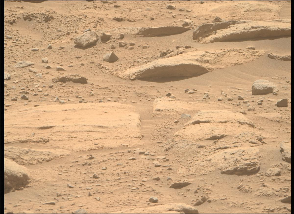 This image was taken by MCZ_RIGHT onboard NASA's Mars rover Perseverance on Sol 738