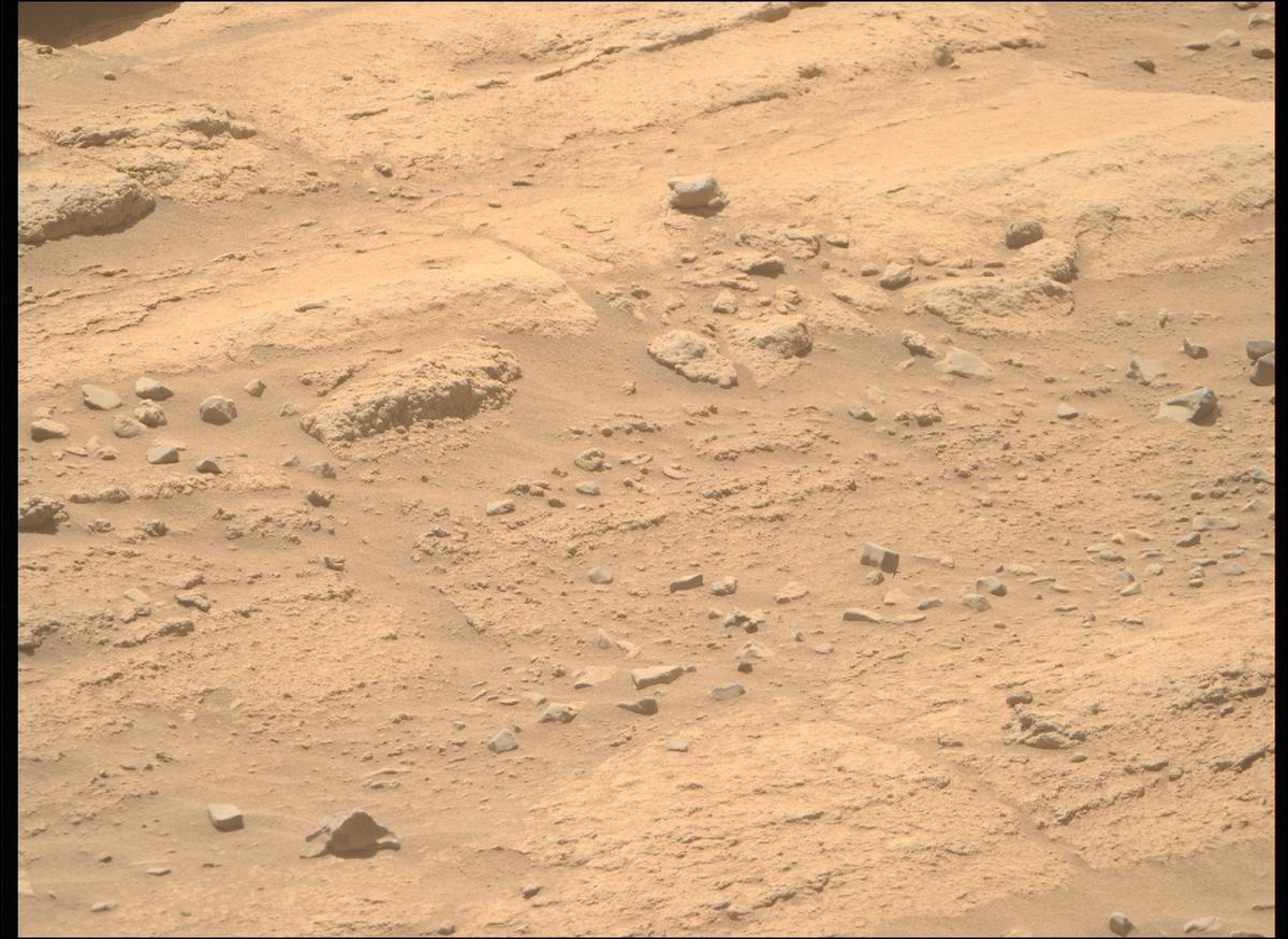 This image was taken by MCZ_RIGHT onboard NASA's Mars rover Perseverance on Sol 738