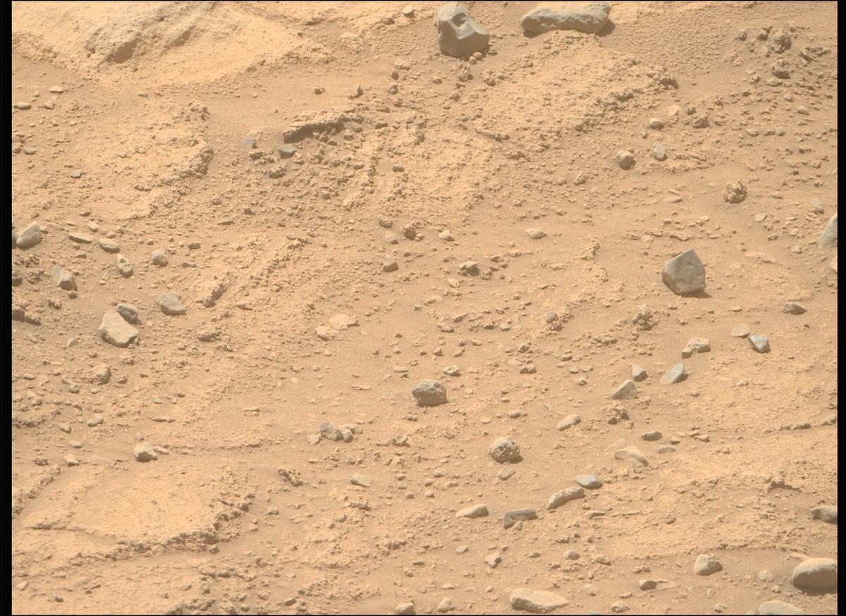 This image was taken by MCZ_RIGHT onboard NASA's Mars rover Perseverance on Sol 738