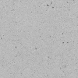 View image taken on Mars, Mars Perseverance Sol 739: SHERLOC ACI Camera 