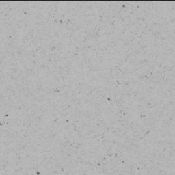 This image was taken by SHERLOC_ACI onboard NASA's Mars rover Perseverance on Sol 739