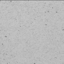 View image taken on Mars, Mars Perseverance Sol 739: SHERLOC ACI Camera 