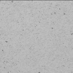 This image was taken by SHERLOC_ACI onboard NASA's Mars rover Perseverance on Sol 739