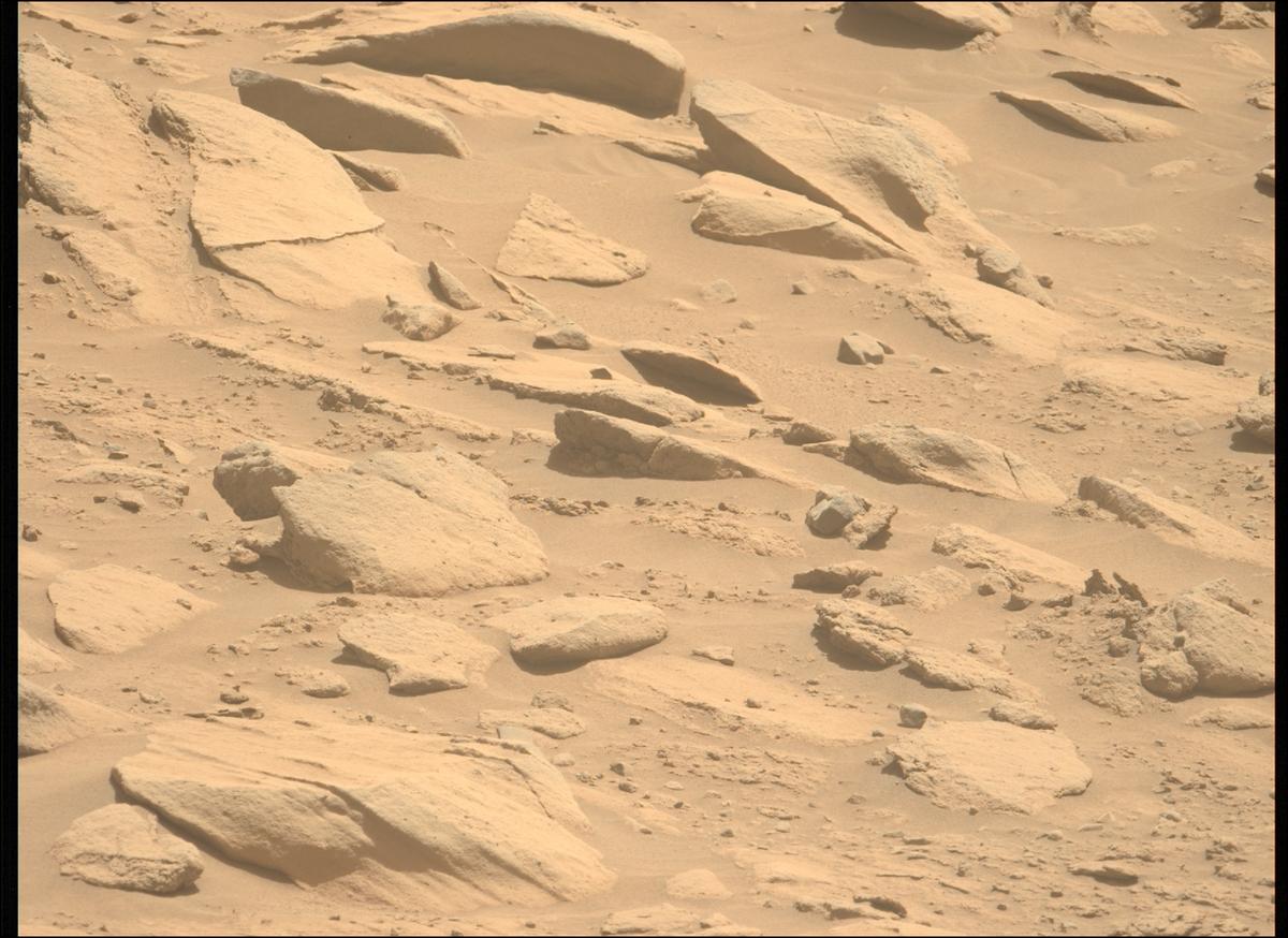 This image was taken by MCZ_LEFT onboard NASA's Mars rover Perseverance on Sol 739