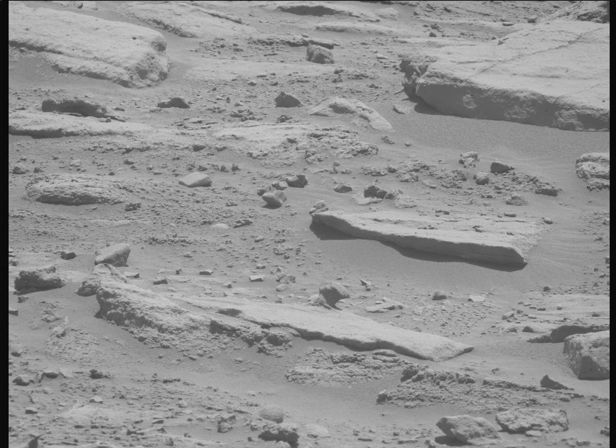 This image was taken by MCZ_LEFT onboard NASA's Mars rover Perseverance on Sol 739
