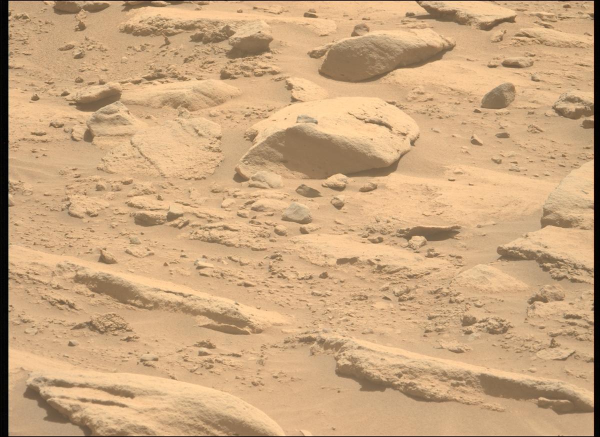 This image was taken by MCZ_LEFT onboard NASA's Mars rover Perseverance on Sol 739
