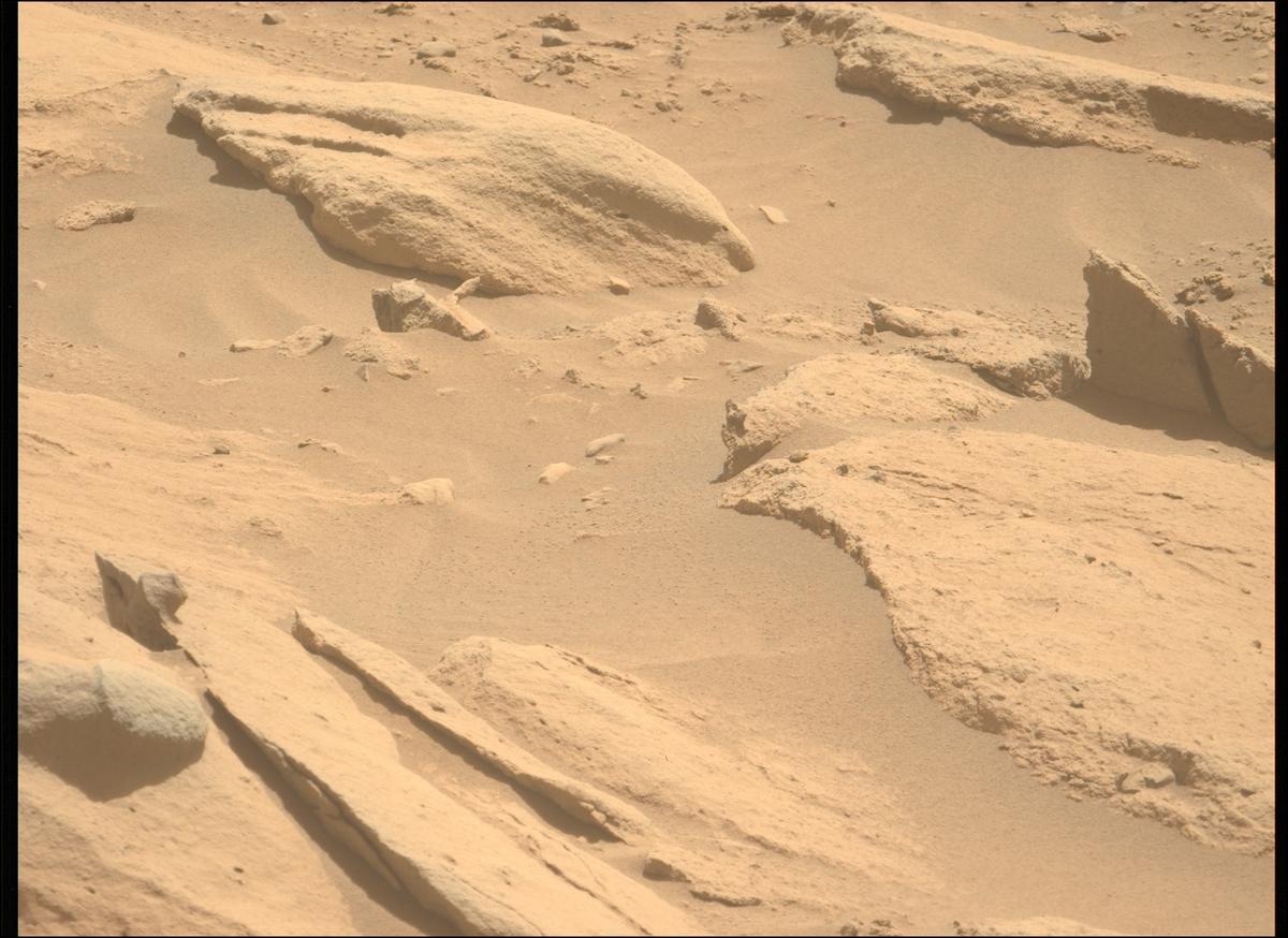 This image was taken by MCZ_LEFT onboard NASA's Mars rover Perseverance on Sol 739