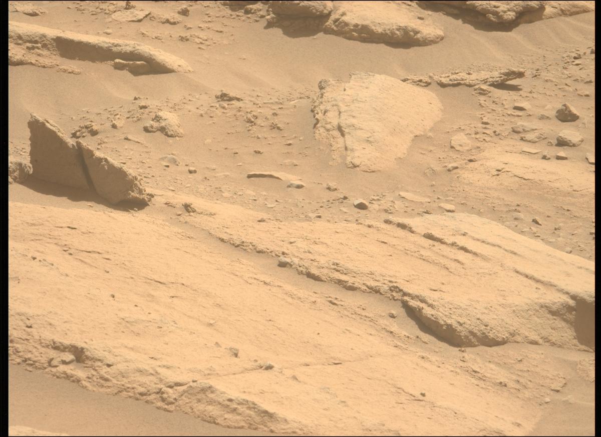 This image was taken by MCZ_LEFT onboard NASA's Mars rover Perseverance on Sol 739