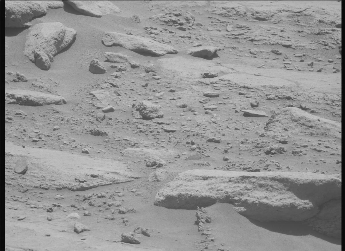 This image was taken by MCZ_LEFT onboard NASA's Mars rover Perseverance on Sol 739