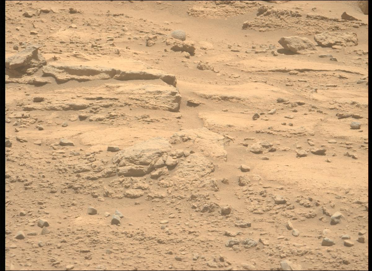 This image was taken by MCZ_LEFT onboard NASA's Mars rover Perseverance on Sol 739