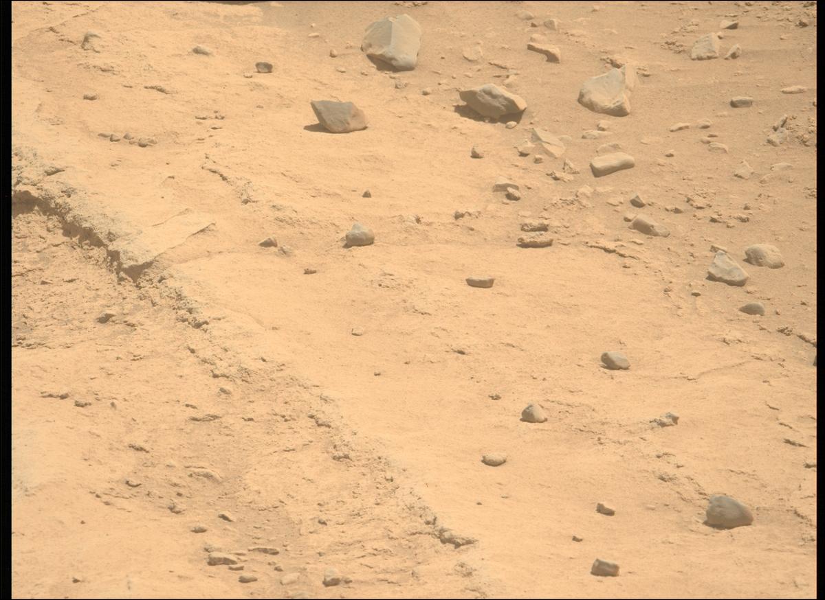 This image was taken by MCZ_LEFT onboard NASA's Mars rover Perseverance on Sol 739