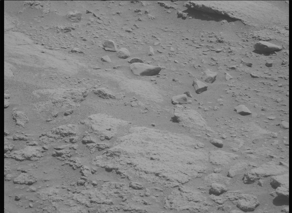 This image was taken by MCZ_LEFT onboard NASA's Mars rover Perseverance on Sol 739