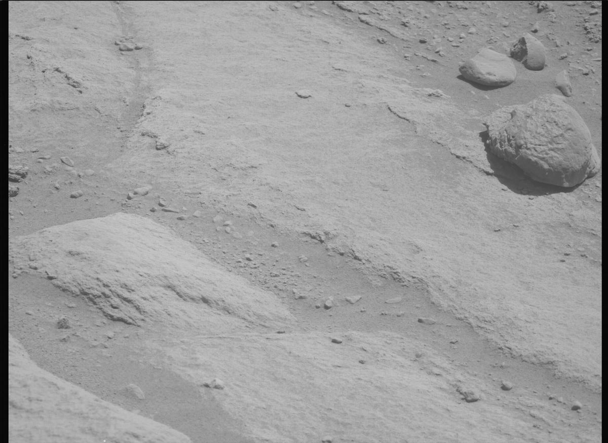 This image was taken by MCZ_LEFT onboard NASA's Mars rover Perseverance on Sol 739