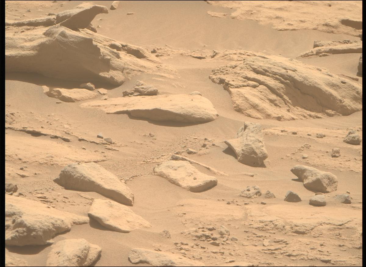 This image was taken by MCZ_RIGHT onboard NASA's Mars rover Perseverance on Sol 739