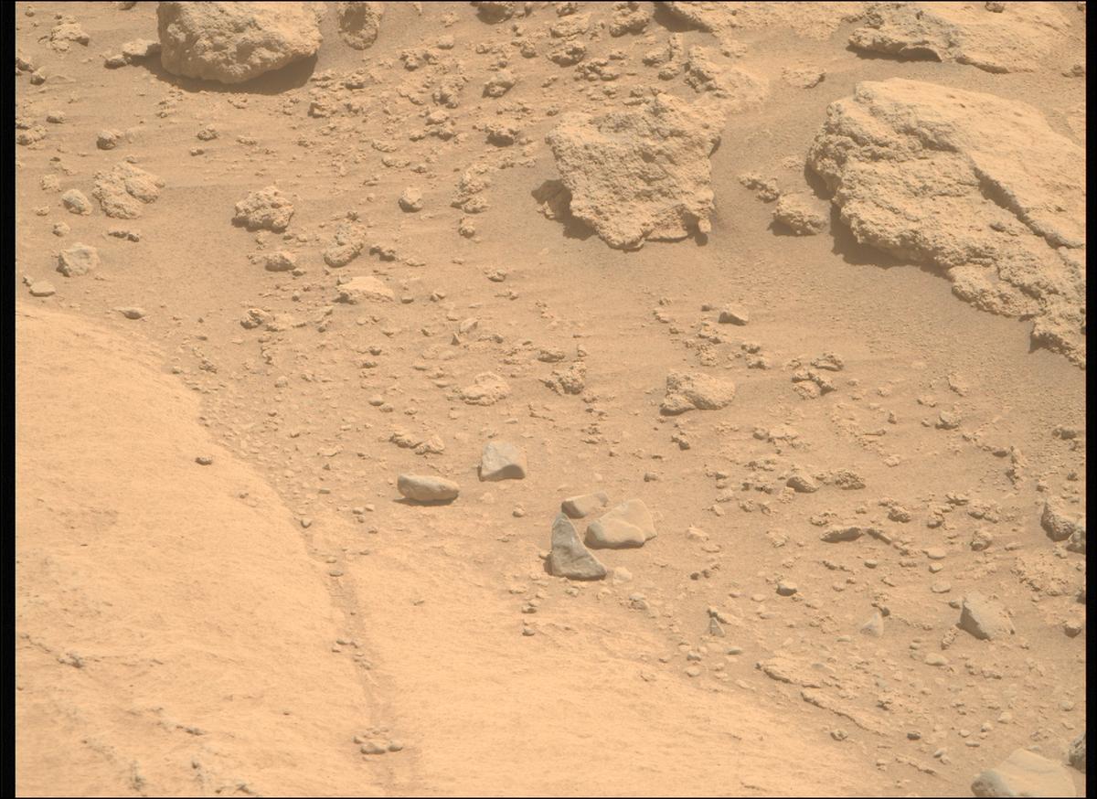 This image was taken by MCZ_RIGHT onboard NASA's Mars rover Perseverance on Sol 739