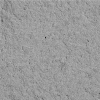 View image taken on Mars, Mars Perseverance Sol 741: WATSON Camera 