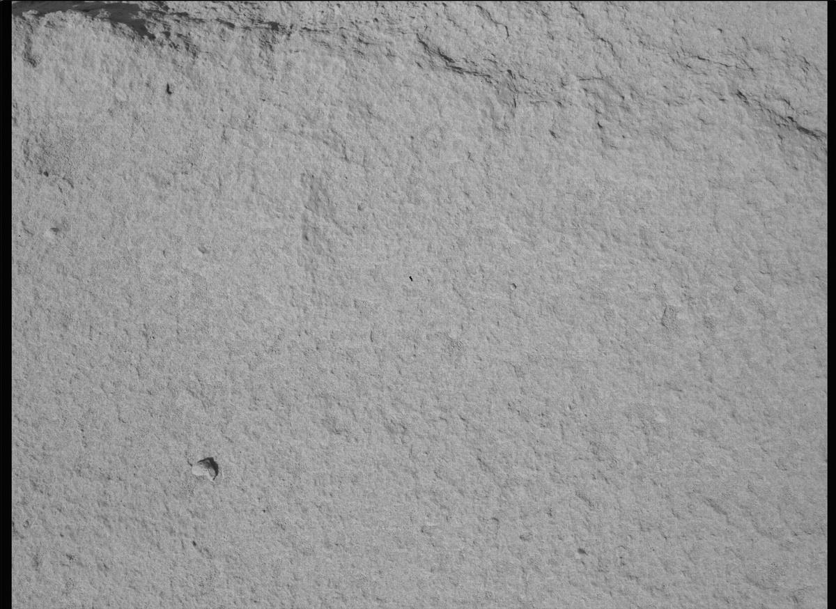 This image was taken by SHERLOC_WATSON onboard NASA's Mars rover Perseverance on Sol 741