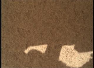 View image taken on Mars, Mars Perseverance Sol 741: WATSON Camera 