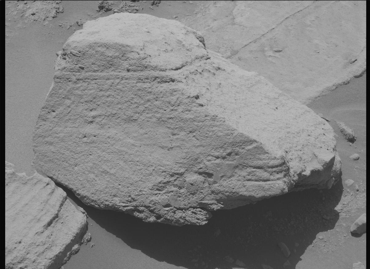 This image was taken by MCZ_LEFT onboard NASA's Mars rover Perseverance on Sol 741