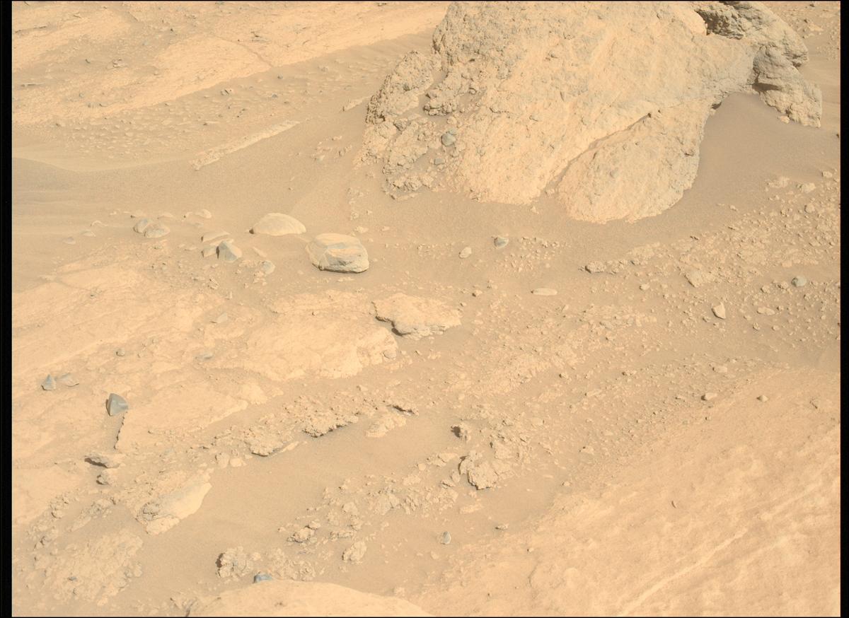 This image was taken by MCZ_LEFT onboard NASA's Mars rover Perseverance on Sol 742