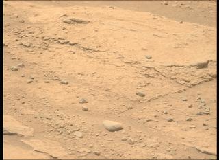 View image taken on Mars, Mars Perseverance Sol 743: Left Mastcam-Z Camera