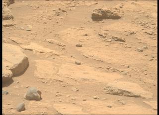 View image taken on Mars, Mars Perseverance Sol 743: Left Mastcam-Z Camera