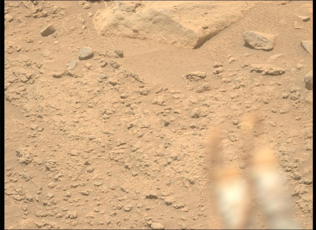This image was taken by MCZ_LEFT onboard NASA's Mars rover Perseverance on Sol 743