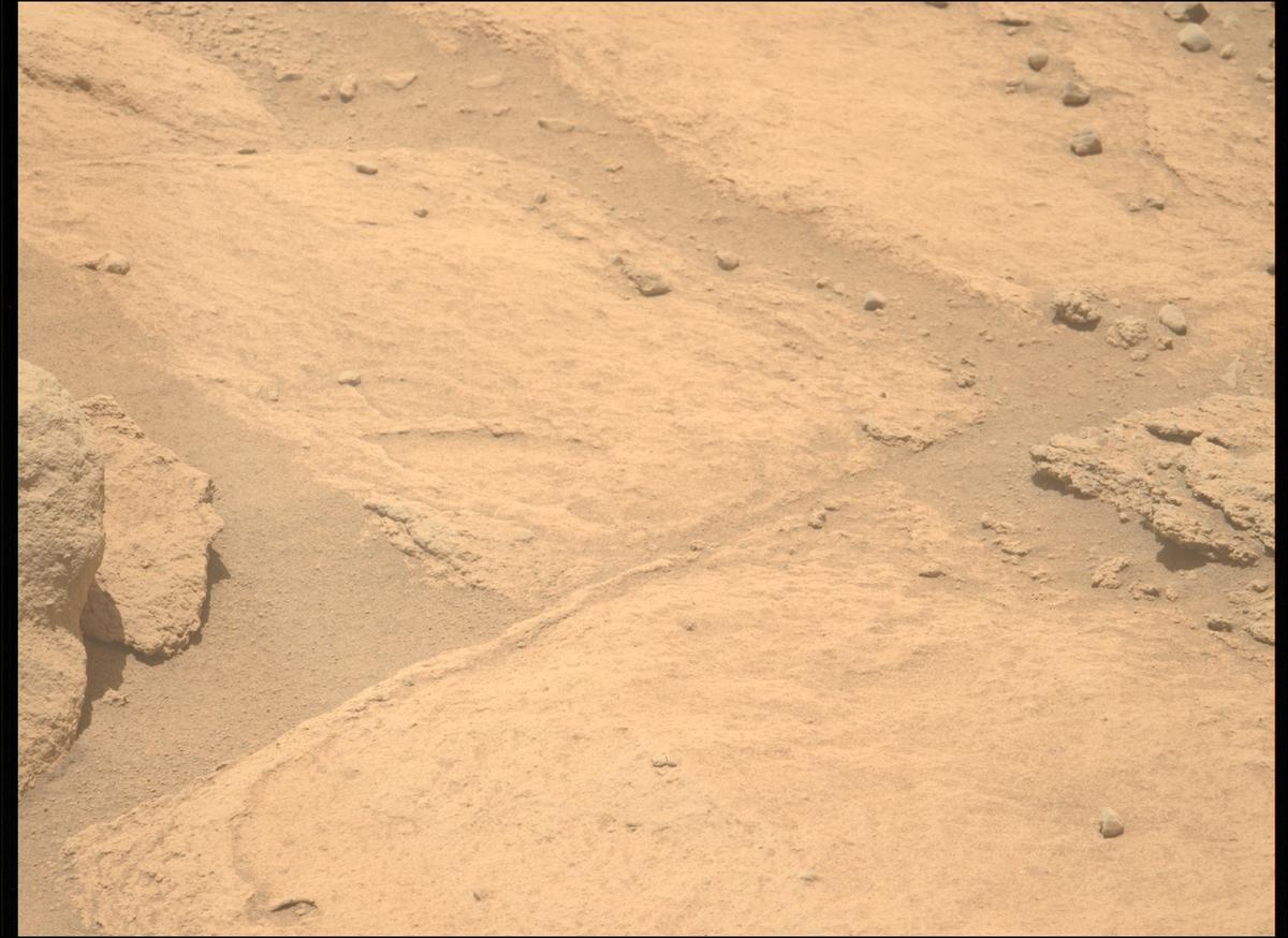 This image was taken by MCZ_LEFT onboard NASA's Mars rover Perseverance on Sol 743