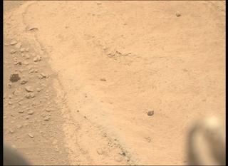 View image taken on Mars, Mars Perseverance Sol 743: Left Mastcam-Z Camera