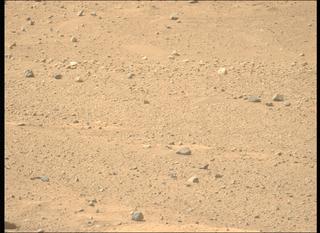 View image taken on Mars, Mars Perseverance Sol 743: Left Mastcam-Z Camera