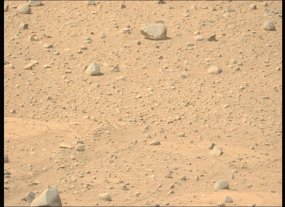 This image was taken by MCZ_LEFT onboard NASA's Mars rover Perseverance on Sol 743