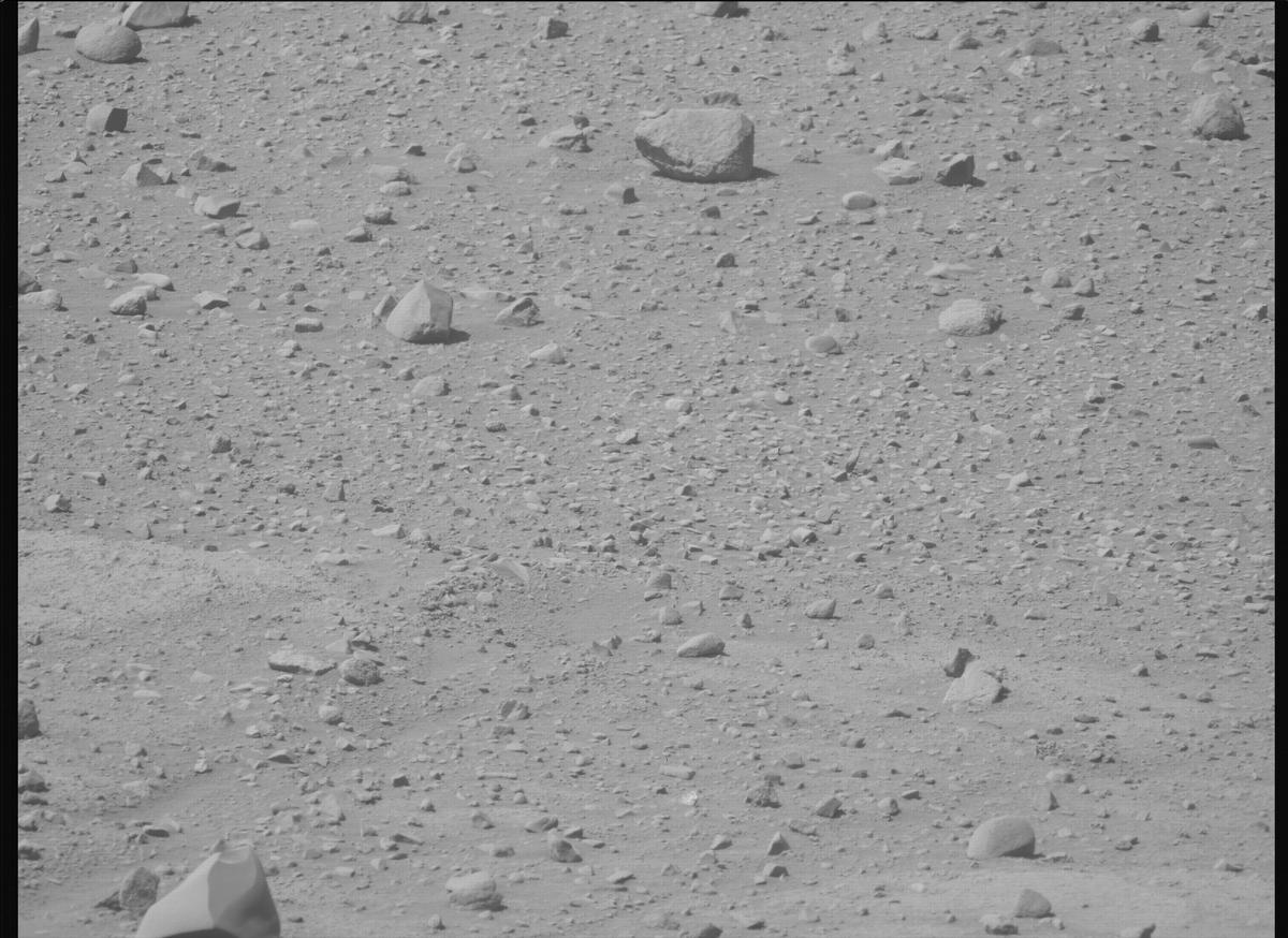 This image was taken by MCZ_LEFT onboard NASA's Mars rover Perseverance on Sol 743