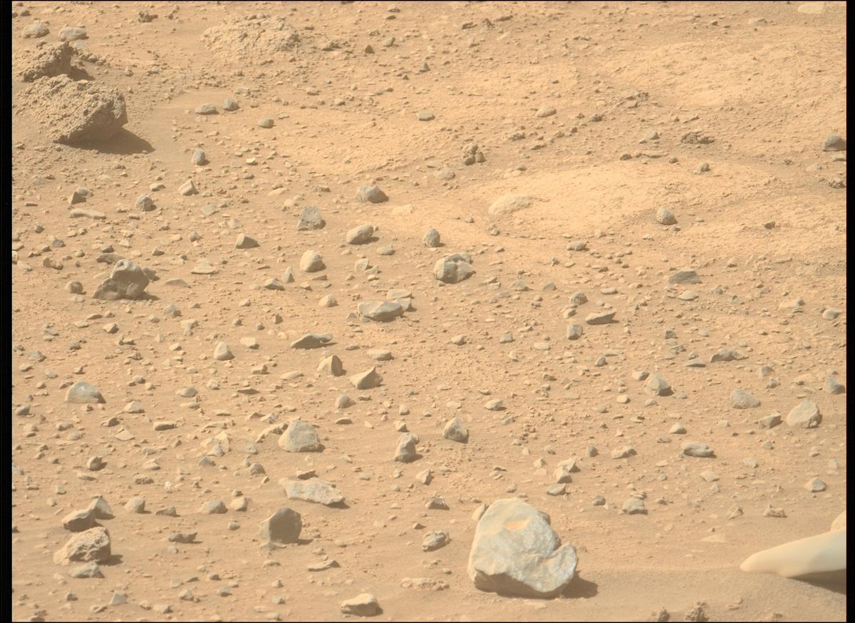 This image was taken by MCZ_LEFT onboard NASA's Mars rover Perseverance on Sol 743
