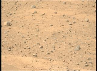 View image taken on Mars, Mars Perseverance Sol 743: Left Mastcam-Z Camera
