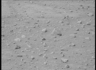 View image taken on Mars, Mars Perseverance Sol 743: Left Mastcam-Z Camera