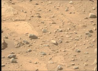 View image taken on Mars, Mars Perseverance Sol 743: Left Mastcam-Z Camera