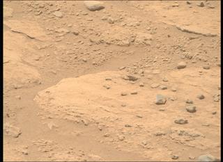 View image taken on Mars, Mars Perseverance Sol 743: Right Mastcam-Z Camera